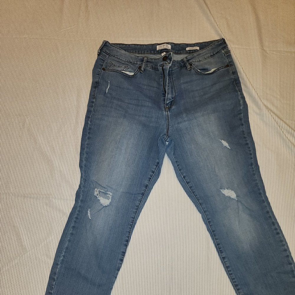 Sofia skinny ankle dsitressed jeans size 16